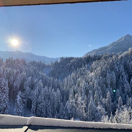 Wohnung Staufenblick Und Wohnung Firstblick Dornbirn Ngoại thất bức ảnh