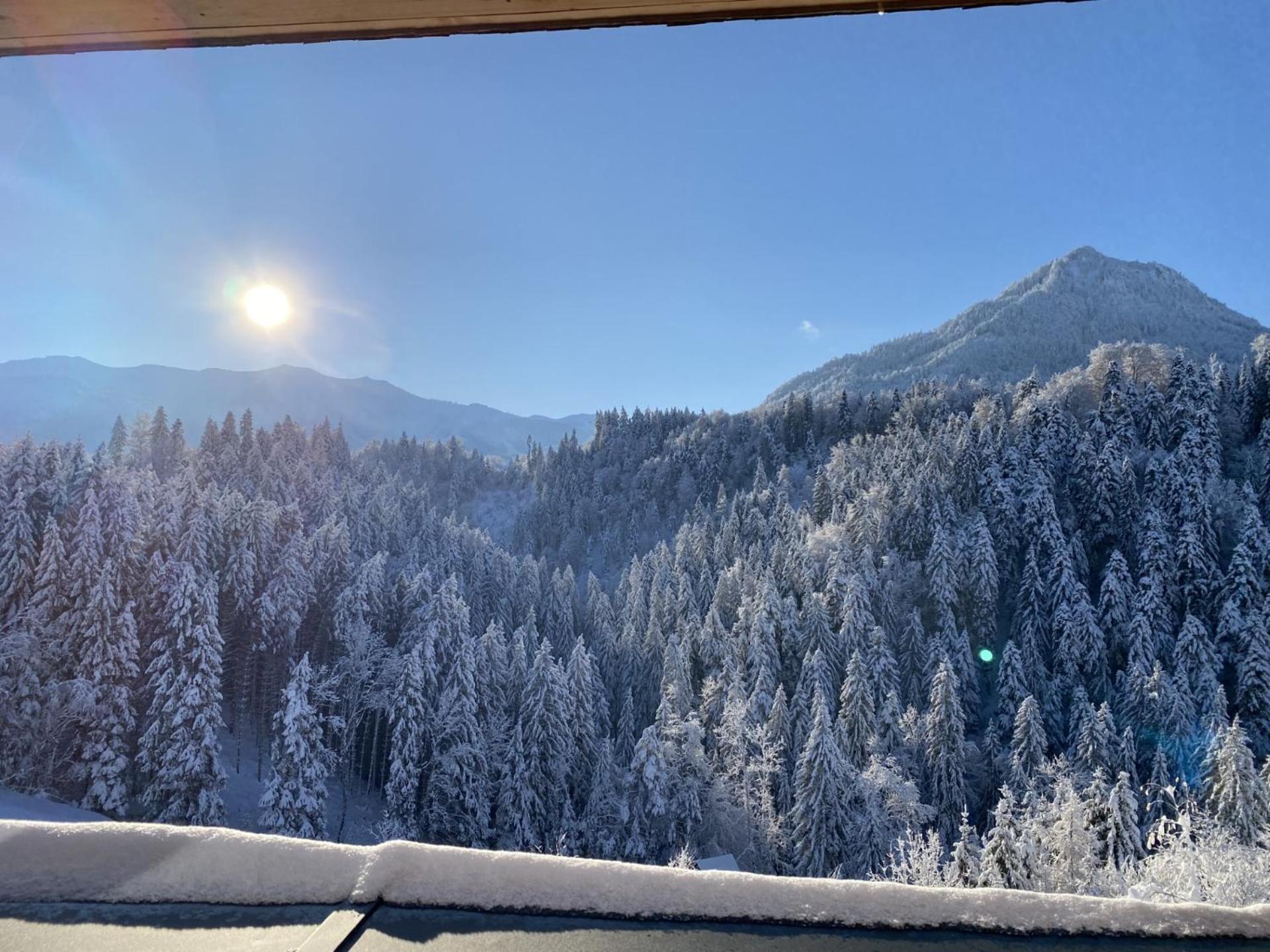 Wohnung Staufenblick Und Wohnung Firstblick Dornbirn Ngoại thất bức ảnh