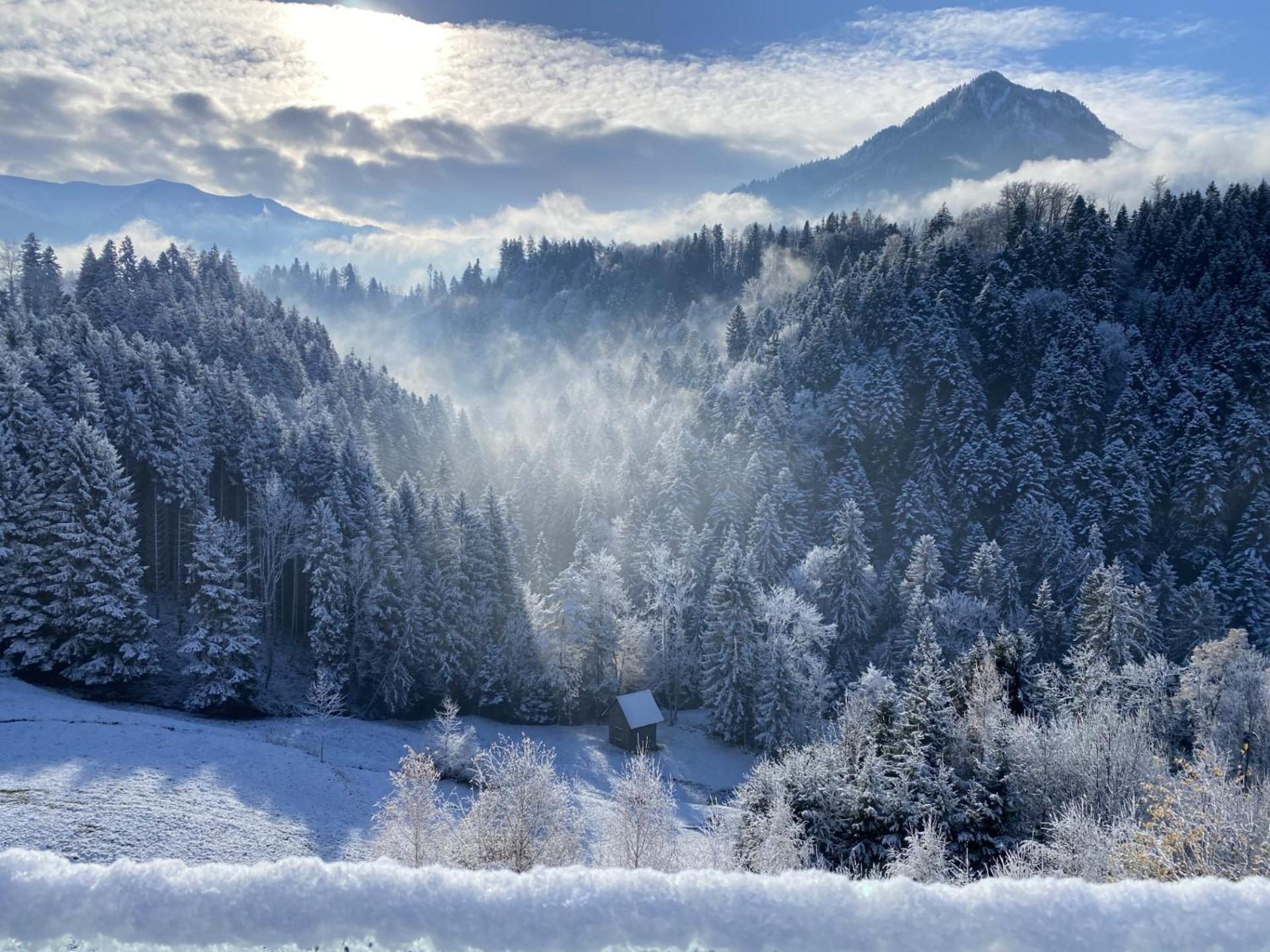 Wohnung Staufenblick Und Wohnung Firstblick Dornbirn Ngoại thất bức ảnh
